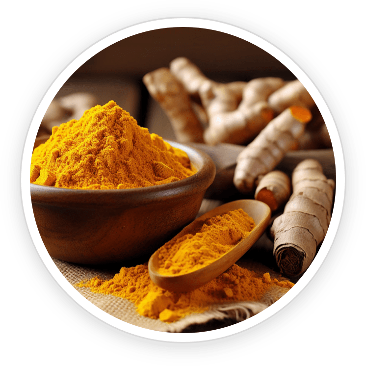 NanoDefense Pro ingredients